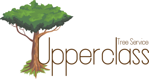 Upperclass Tree Service (1)-3